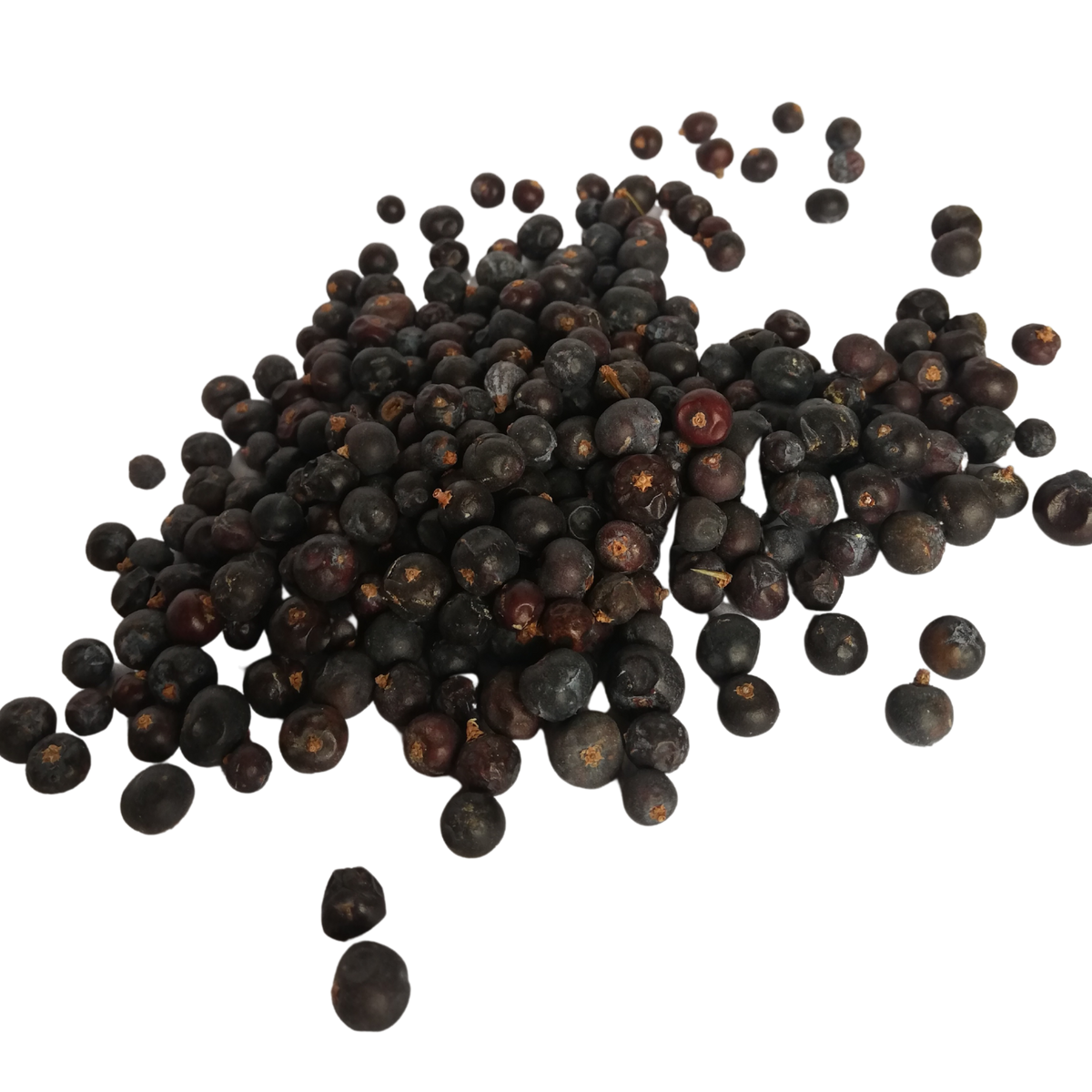 Juniper Berries 100g The Capital Distillery
